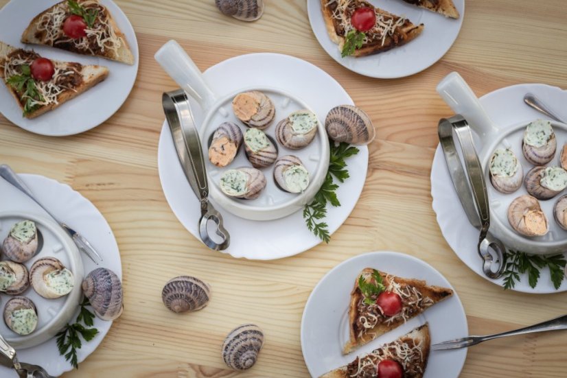 Poukaz na exkurzi s degustací - Počet osob: 1 osoba